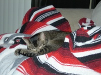 feet and tail asleep.jpg